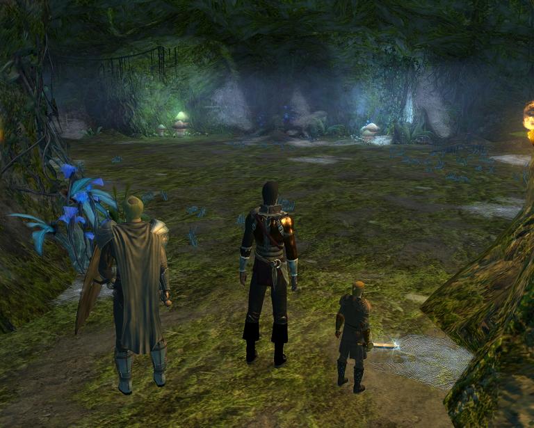 Neverwinter nights 2 storm of zehir прохождение